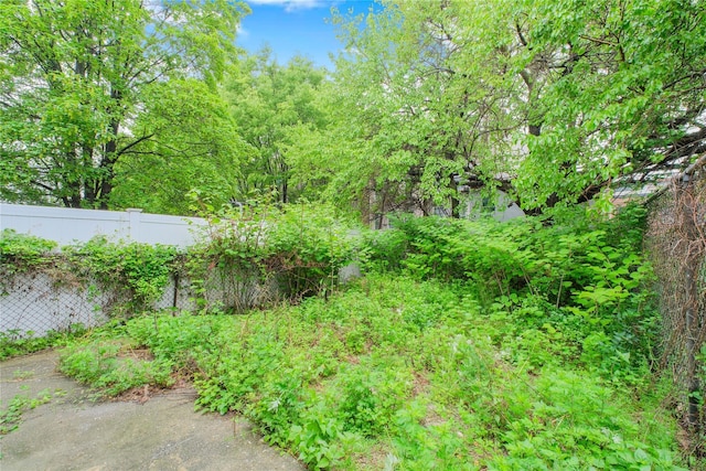 231 Macdougal St, Brooklyn, NY 11233 - view of yard