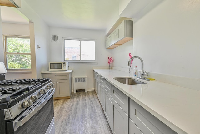 150-01 Horace Harding Expy, Flushing, NY 11367 - kitchen featuring stainless steel gas range, white microwave, healthy amount of natural light, and light wood finished floors