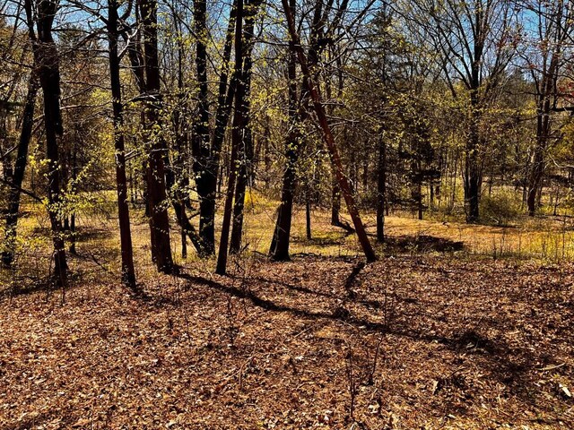 1104 Cold Spring Rd, Clinton Corners, NY 12514 - view of undeveloped land