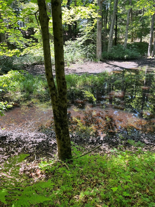 1104 Cold Spring Rd, Clinton Corners, NY 12514 - view of nature