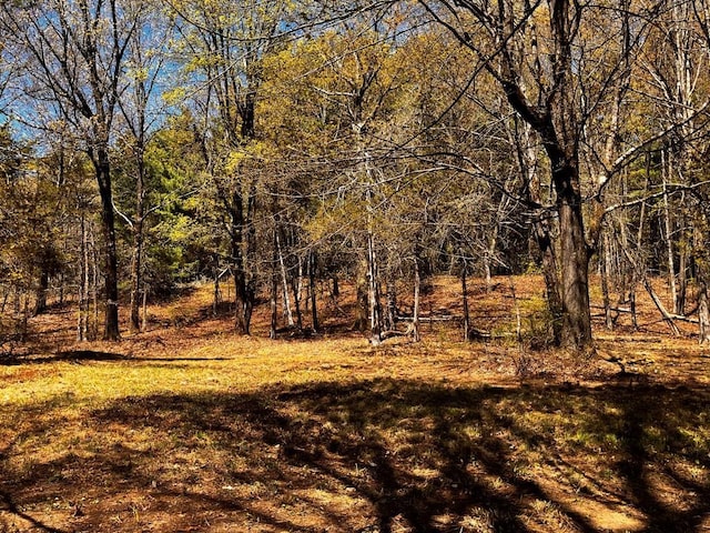 1104 Cold Spring Rd, Clinton Corners, NY 12514 - view of undeveloped land