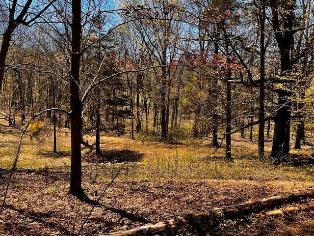 1104 Cold Spring Rd, Clinton Corners, NY 12514 - view of nature