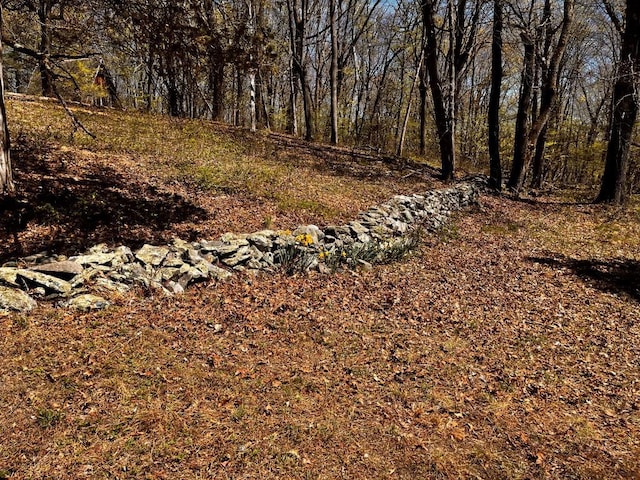 1104 Cold Spring Rd, Clinton Corners, NY 12514 - view of yard with a view of trees