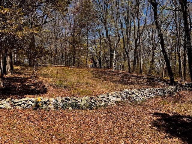 1104 Cold Spring Rd, Clinton Corners, NY 12514 - view of yard featuring a wooded view