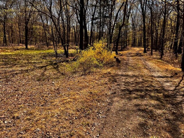 1104 Cold Spring Rd, Clinton Corners, NY 12514 - view of street featuring a forest view