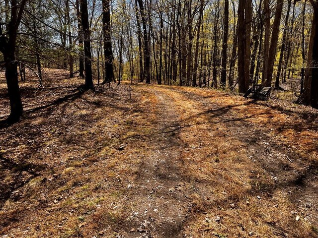 1104 Cold Spring Rd, Clinton Corners, NY 12514 - view of road featuring a wooded view