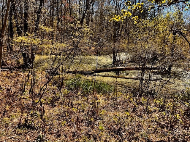 1104 Cold Spring Rd, Clinton Corners, NY 12514 - view of yard