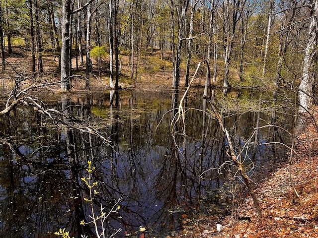 1104 Cold Spring Rd, Clinton Corners, NY 12514 - view of local wilderness