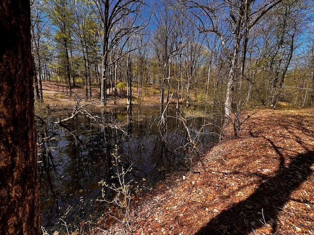 1104 Cold Spring Rd, Clinton Corners, NY 12514 - view of local wilderness