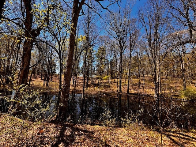 1104 Cold Spring Rd, Clinton Corners, NY 12514 - view of nature