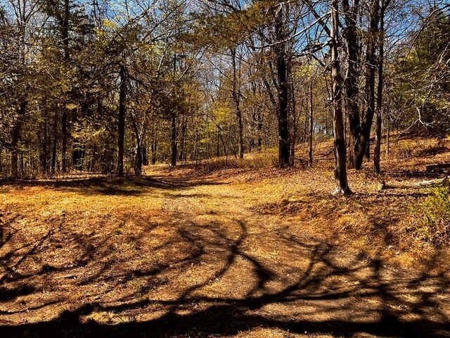 1104 Cold Spring Rd, Clinton Corners, NY 12514 - view of nature