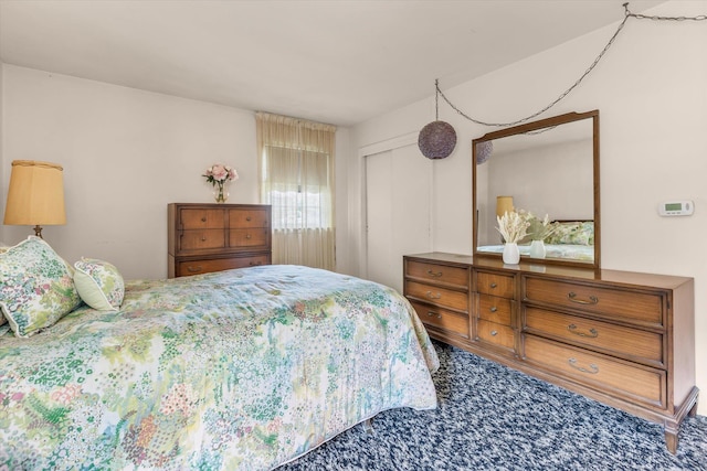 17 Edna Dr, Syosset, NY 11791 - bedroom with a closet and carpet flooring