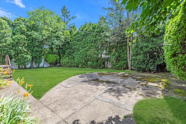 17 Edna Dr, Syosset, NY 11791 - view of green lawn with a patio
