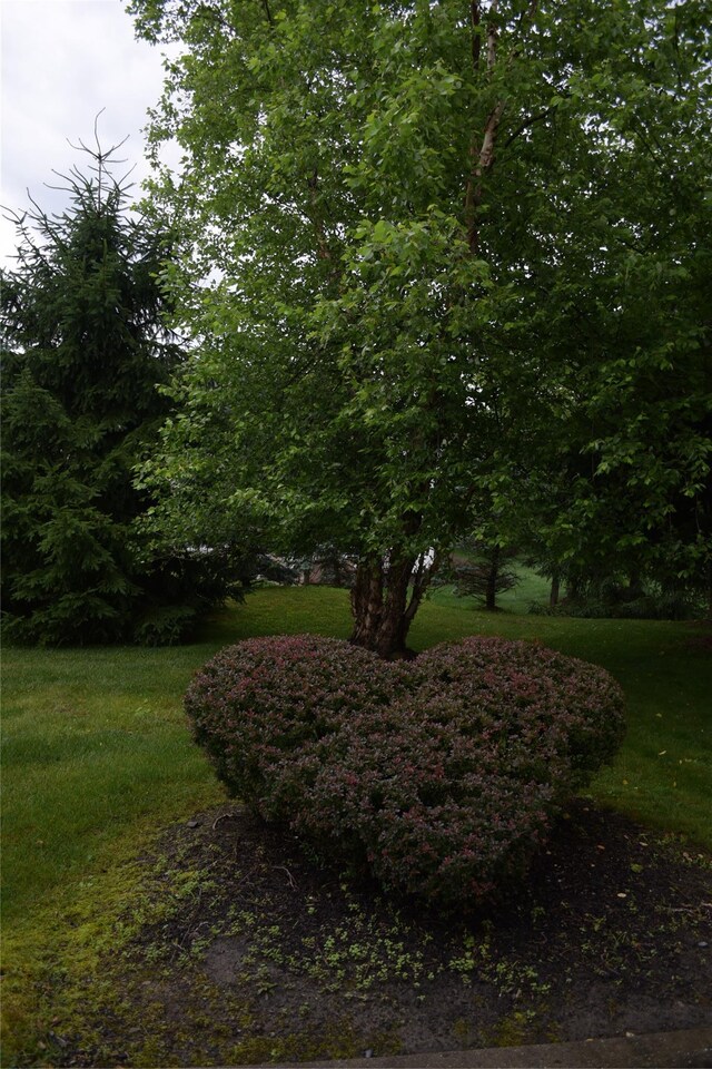 15 Cobblestone Ln, Middletown, NY 10940 - view of green lawn