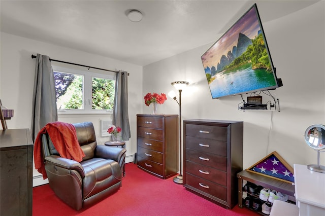25 Lloyd Ln, Nesconset, NY 11767 - living area with a baseboard radiator and carpet