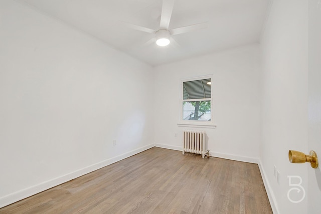 53-66 62nd St, Maspeth, NY 11378 - photo 18