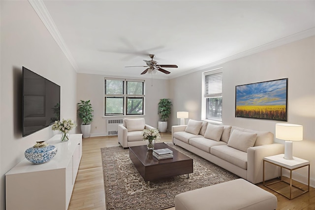 302 96th St Unit 5A, Brooklyn, NY 11209 - living room with radiator, crown molding, ceiling fan, and light wood finished floors
