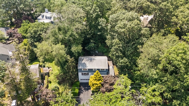 10 Rockledge Rd, Bronxville, NY 10708 - photo 20
