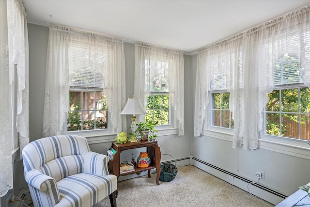 2564 Central Ave Unit B, Baldwin, NY 11510 - sitting room with a baseboard heating unit and healthy amount of natural light