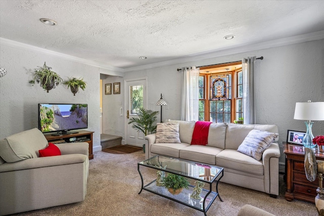 2564 Central Ave Unit B, Baldwin, NY 11510 - living area featuring crown molding, a textured wall, a textured ceiling, and carpet floors