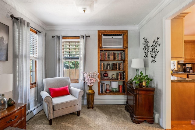 2564 Central Ave Unit B, Baldwin, NY 11510 - living area featuring a baseboard radiator, ornamental molding, and light colored carpet