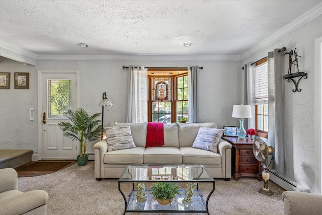 2564 Central Ave Unit B, Baldwin, NY 11510 - living area featuring plenty of natural light, carpet, baseboard heating, ornamental molding, and a textured ceiling
