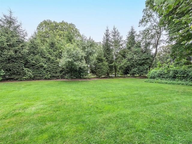 184 Circle Dr, Manhasset, NY 11030 - photo 33