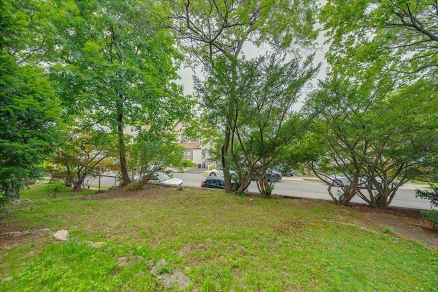 32 Brady Ave, New Rochelle, NY 10805 - view of yard