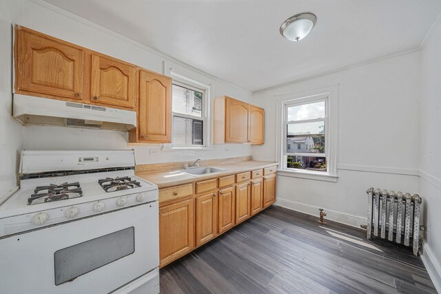 13841 230th Pl, Laurelton, NY 11413 - photo 19