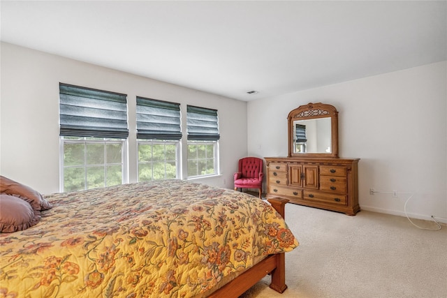 28 Virginia Pine Ln, Bay Shore, NY 11706 - photo 19