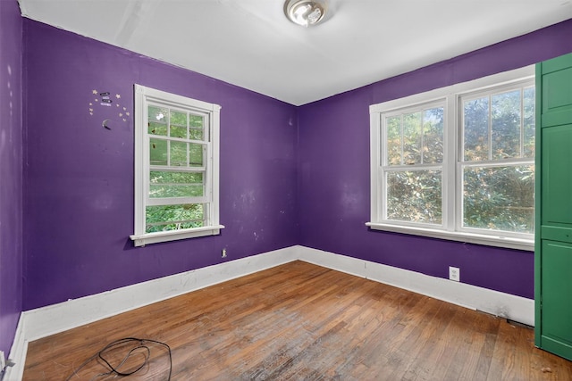 1973 State Route 17k, Montgomery, NY 12549 - empty room with plenty of natural light and wood-type flooring