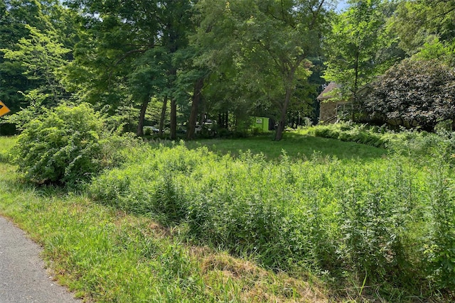 1973 State Route 17k, Montgomery, NY 12549 - view of yard with a forest view