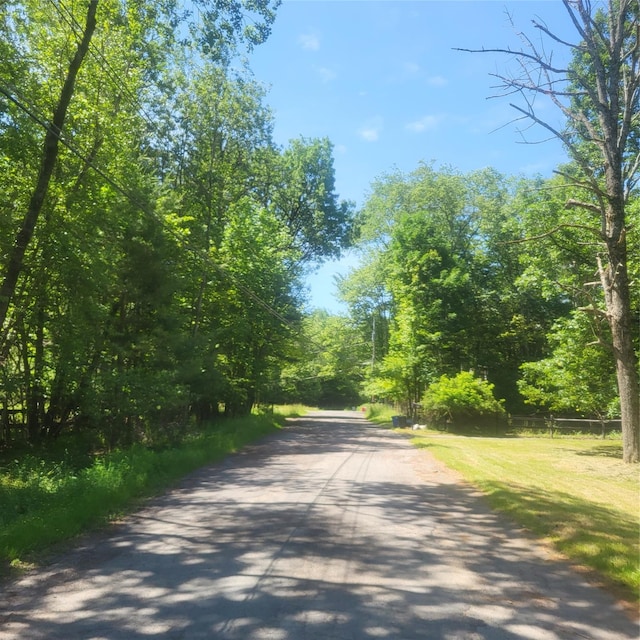 15 Washington St, Liberty, NY 12754