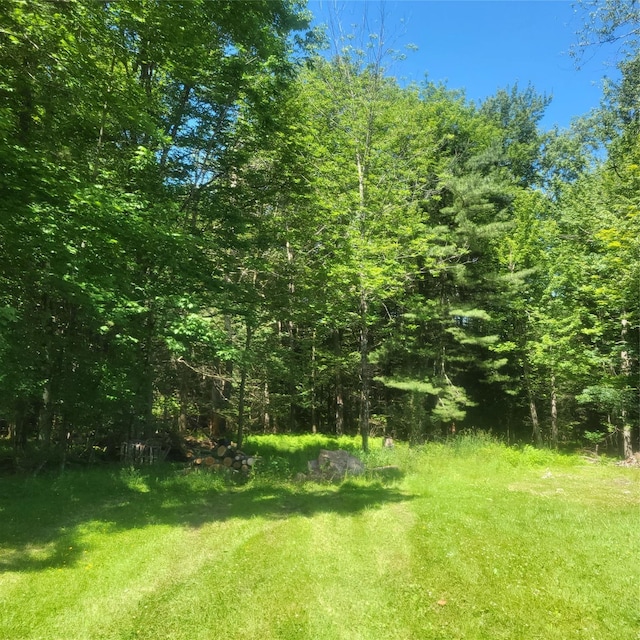 15 Washington St, Liberty, NY 12754