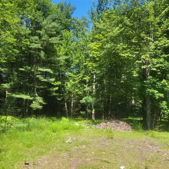 15 Washington St, Liberty, NY 12754