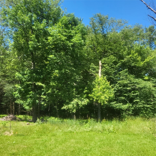 15 Washington St, Liberty, NY 12754