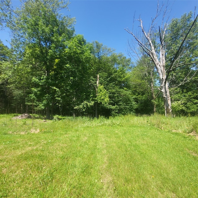 15 Washington St, Liberty, NY 12754