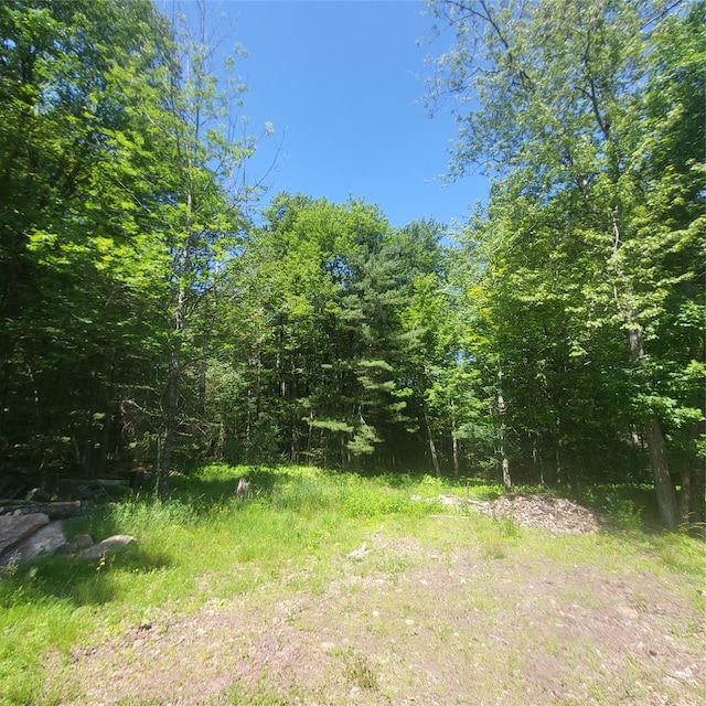 15 Washington St, Liberty, NY 12754