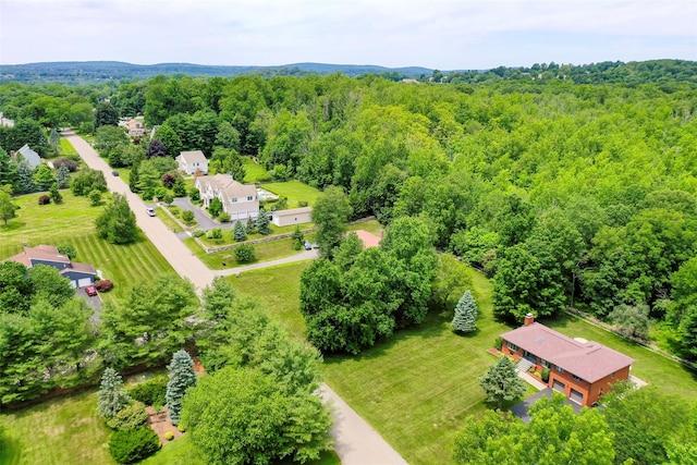 23 Lounsbury Dr, Baldwin Place, NY 10505 - photo 5