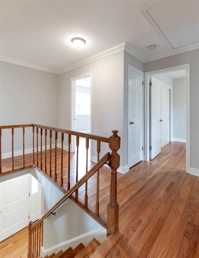 2 Jean Ln, New City, NY 10956 - photo 16