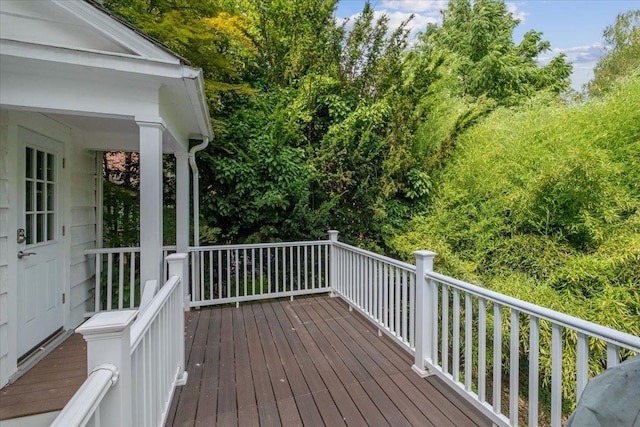 18 Forest Ln, Scarsdale, NY 10583 - photo 15