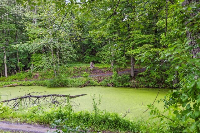 61 Travis Blvd, Catskill, NY 12414 - view of home's community with a view of trees