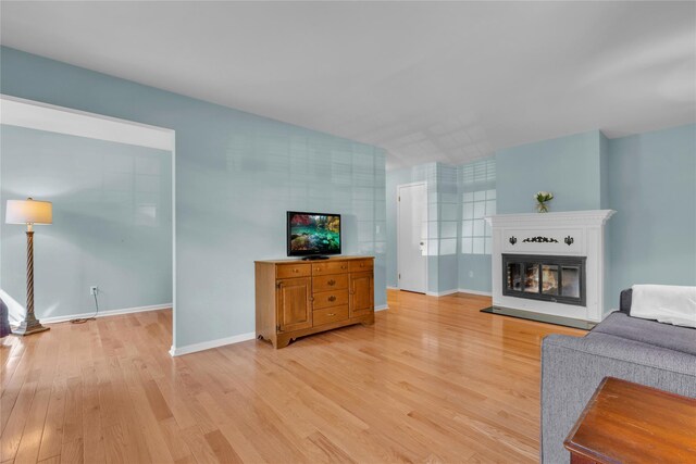 9 Foxwood Dr Unit 4, Pleasantville, NY 10570 - living room with light wood-style flooring and a glass covered fireplace