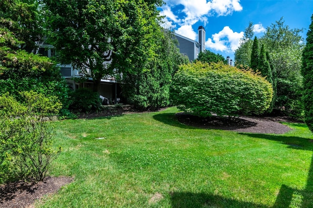 17 Jared Dr, White Plains, NY 10605 - view of green lawn
