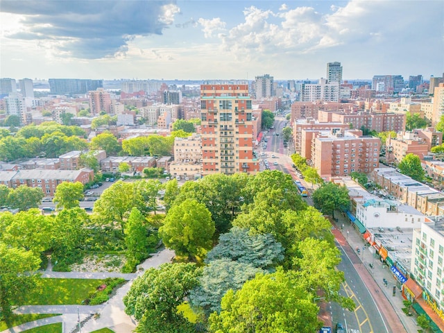 4318 Main St Unit 12A, Flushing, NY 11355 - view of urban area