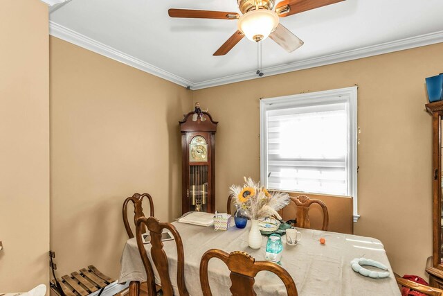 53 Carnation Ave, Floral Park, NY 11001 - photo 19