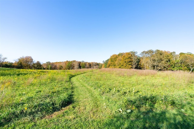 174 Sunset Trl, Clinton Corners, NY 12514 - view of local wilderness featuring rural landscape
