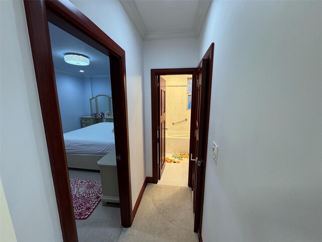 6360 102nd St Unit B19, Rego Park, NY 11374 - hallway with light colored carpet and ornamental molding