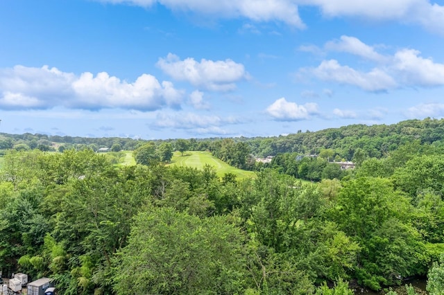 68 E Hartsdale Ave Unit 6M, Hartsdale, NY 10530 - photo 17