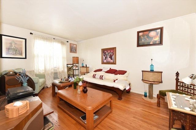 102-35 187th St, Hollis, NY 11423 - living area featuring light wood-type flooring
